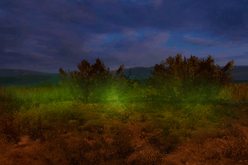 MARSH GAS